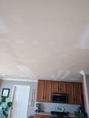 Venemex painting services