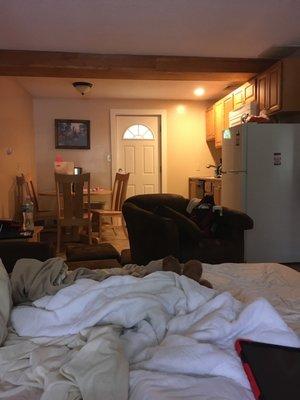 Living room with pull out couch and kitchen. Dog friendly room. Direct access to backyard.