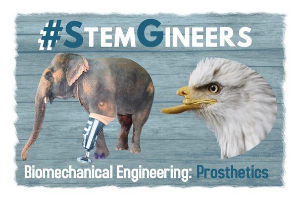 Young Minds Empowered