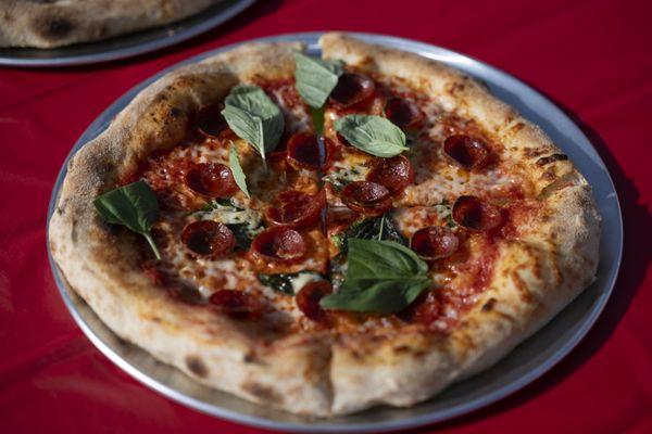 Terra Mia Neapolitan Pizza