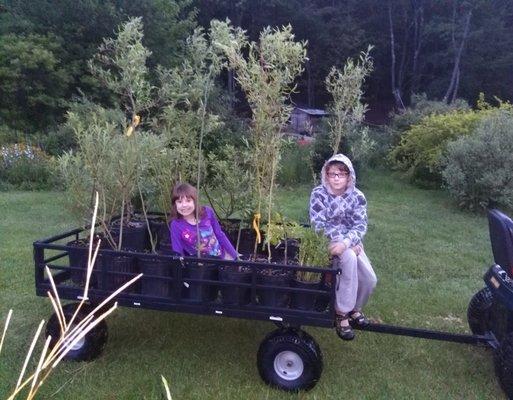 Hardisty's Frugal Farm & Nursery