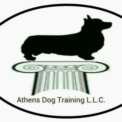 Athens Dog Training - San Ramon
