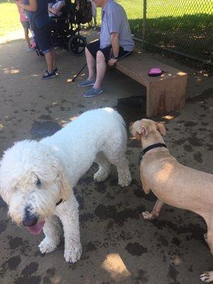 Lovely fenced in , clean and friendly patrons.