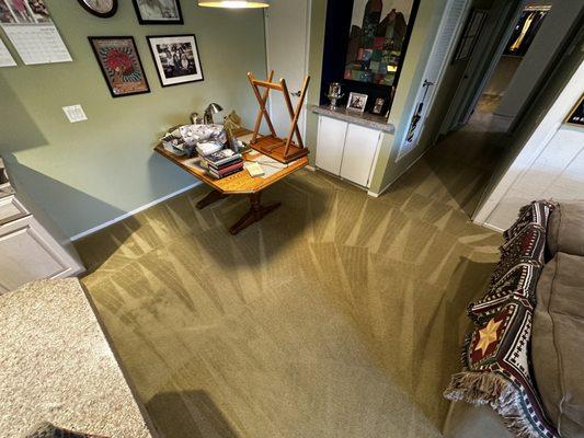 Norcal Carpet Cleaning