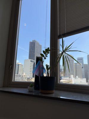 The Gender Confirmation Center of San Francisco