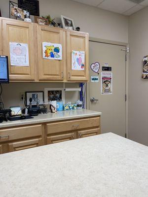 Fort Street Veterinarian