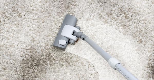 Curtis Carpet Cleaning
