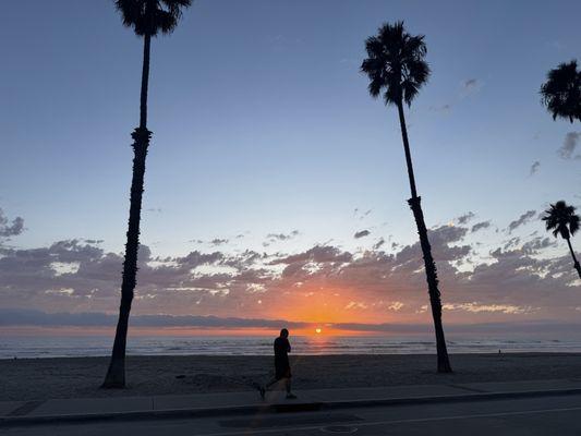 The Blue Whale - Oceanside