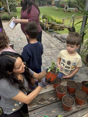 Torah Tots Academy