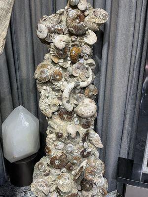 Empressive Earth Gallery