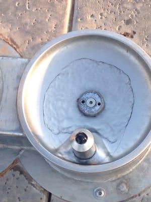 Dog "bowl" fountain. Water can be hot.