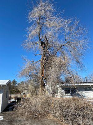 Martinez Landscaping