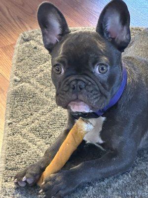 Aunt Cheryl's Grooming