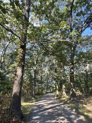 Walking thru the wonder..