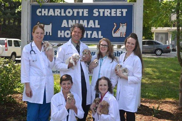 Charlotte Street Animal Hospital
