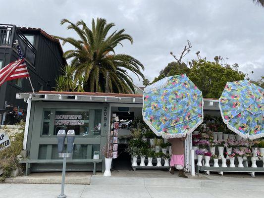 Browne's Florist & Flower Delivery