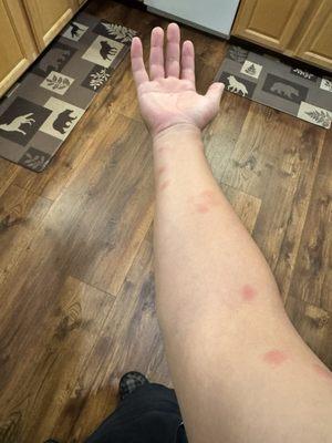 Stevenson's Holliday Inn