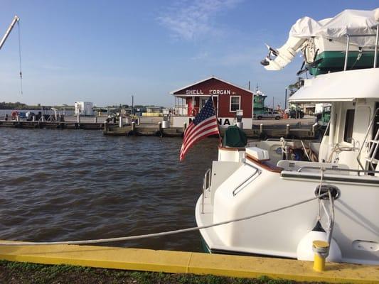 Morgan Shell Landing