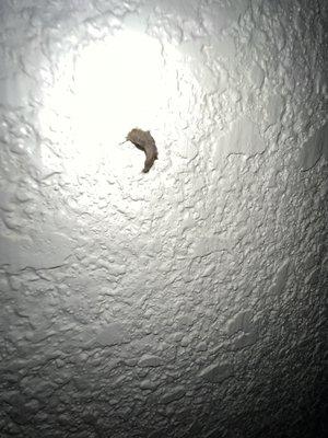 Travelodge by Wyndham Lemoore Near Naval Air Station