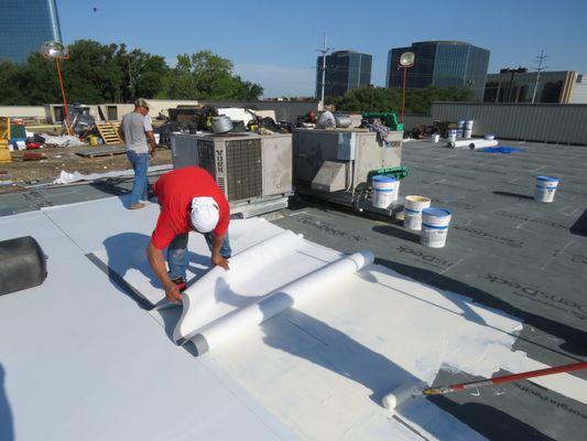 Jack Gray's Roof Observations