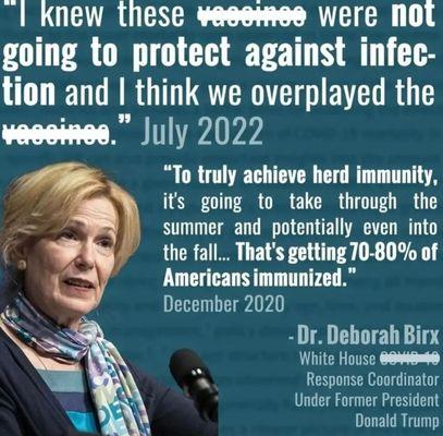 Bohemia Newport Beach