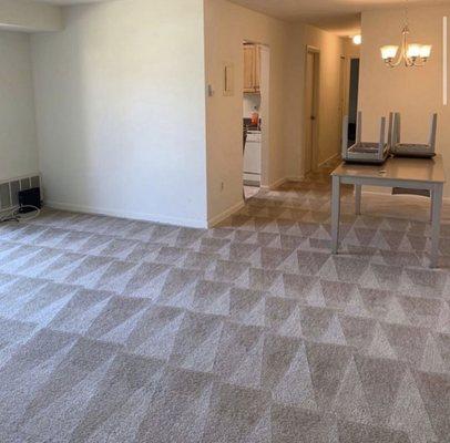 Carpet cleaning