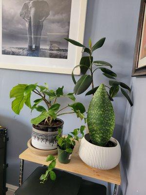 I got the whales fin and lipstick. (Front middle and front right)