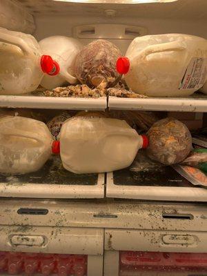 AZ Appliance Repair Service