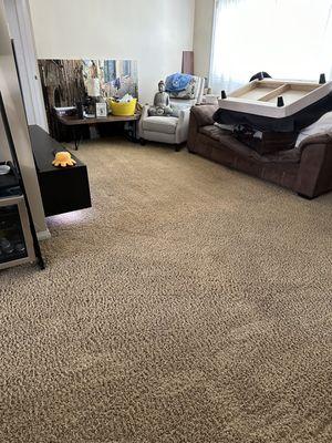Nation's Best Carpet Care