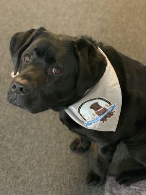 Harrisburg Veterinary Clinic