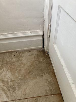 Cracks in walls and mold