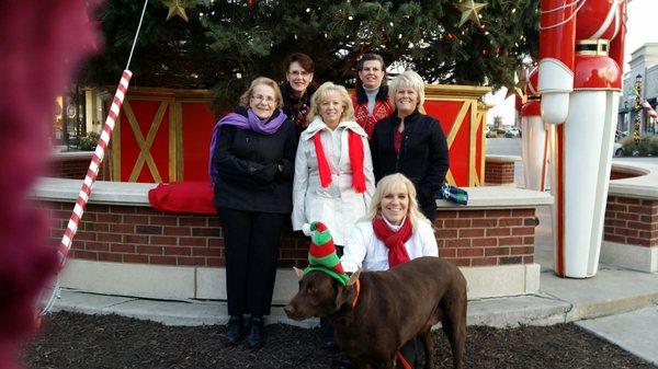 Merry Christmas! Spring is on the way...