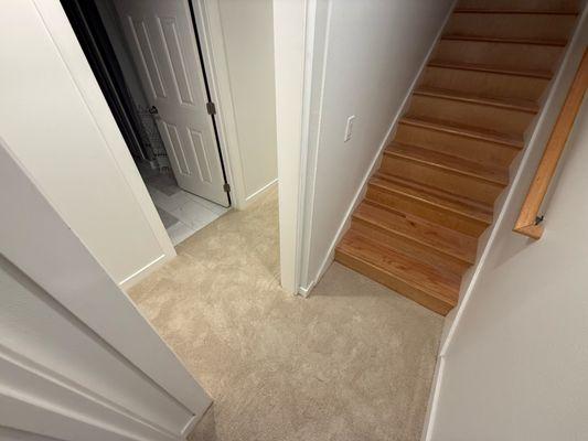 Sergey's Deluxe Carpet, Hardwood, Paint & More