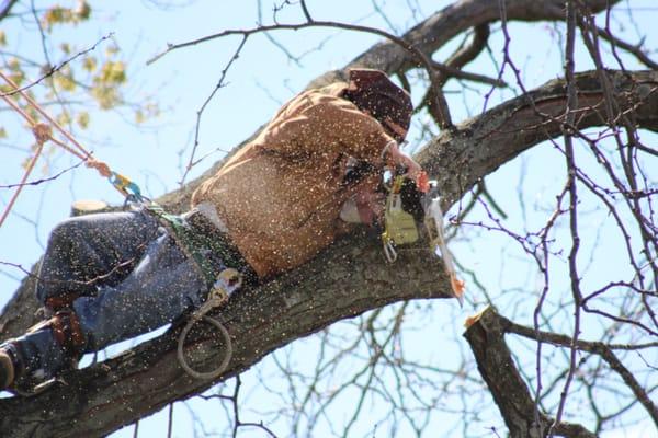 Everybody's Favorite Deck Guy