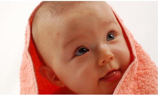 Wouldn't it be neat to hang out with this little guy for your Job. Please apply at our website or give us a call at (909)949-1066