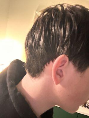 Turner's Barber Styling