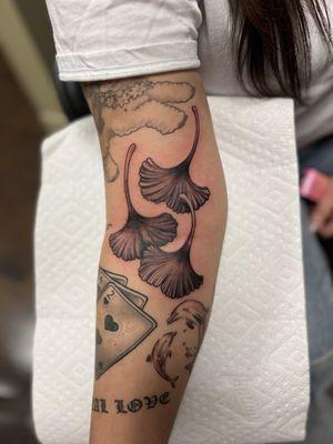 Ginko leaves by Zach