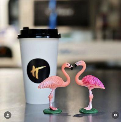 TellTale Coffee and Creams