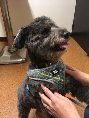 Grandview Animal Clinic