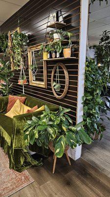 Cute plants everywhere!