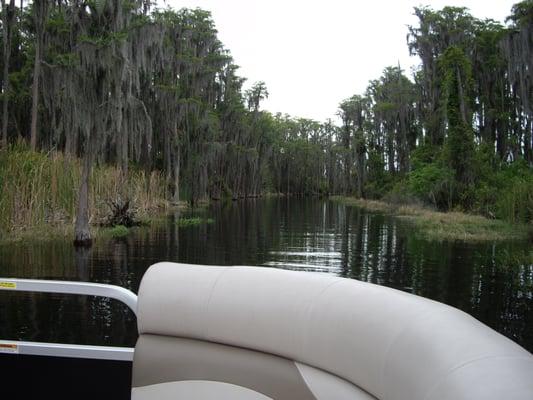 Relax, sit back and enjoy