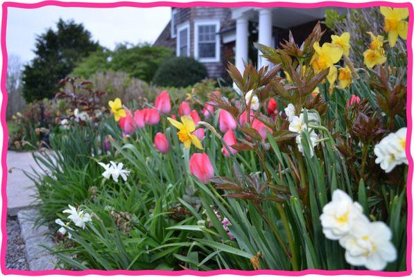 Mark Moskowitz Landscaping