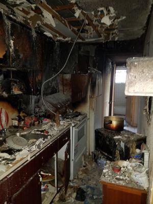 Lion Claims Adjusters