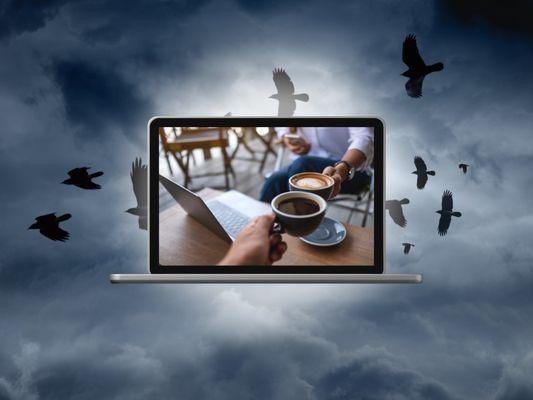 Wise Raven Consulting