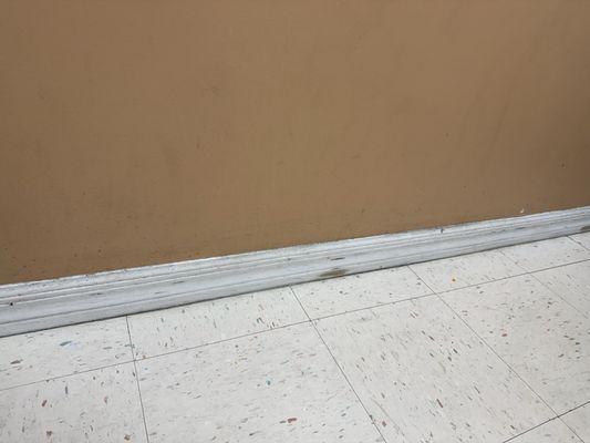 Primary Care Walk In Clinic