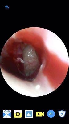 ENT & Facial Plastic Surgery Center