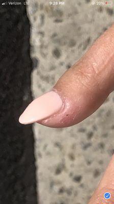 Hollywood Nails and Spa