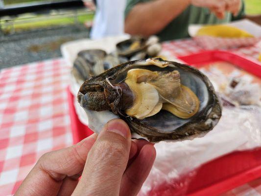 Peel off the dark skin covering the filter mouth tube on the left