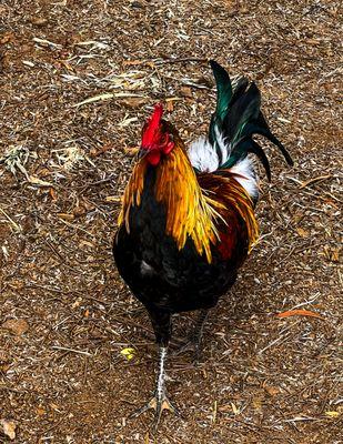 Keira Bex Arts and Photography