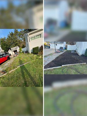 AA Landscaping And Tree Care